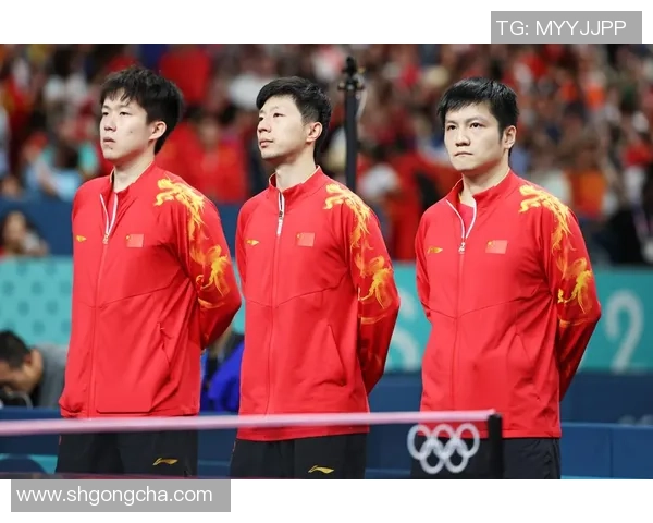 南京乒乓球队实力强劲荣登全国个人能力排行榜第五名